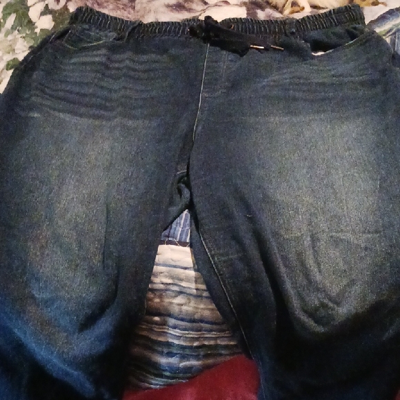 Blue Jean Joggers~Terra & Sky - Picture 1 of 15